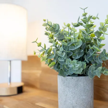 Hygge Homes - Cube * Borstel (Winsen)