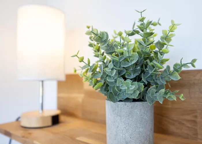 Hygge Homes - Cube * Borstel (Winsen)